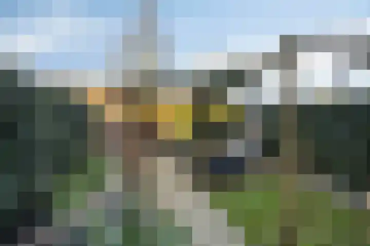 Hoogmeer 2603 Wijchen thumbnail 21