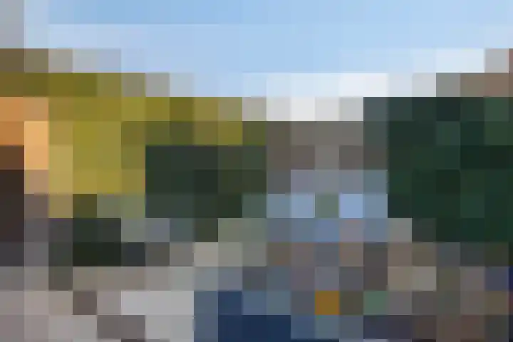 Hoogmeer 2603 Wijchen thumbnail 22