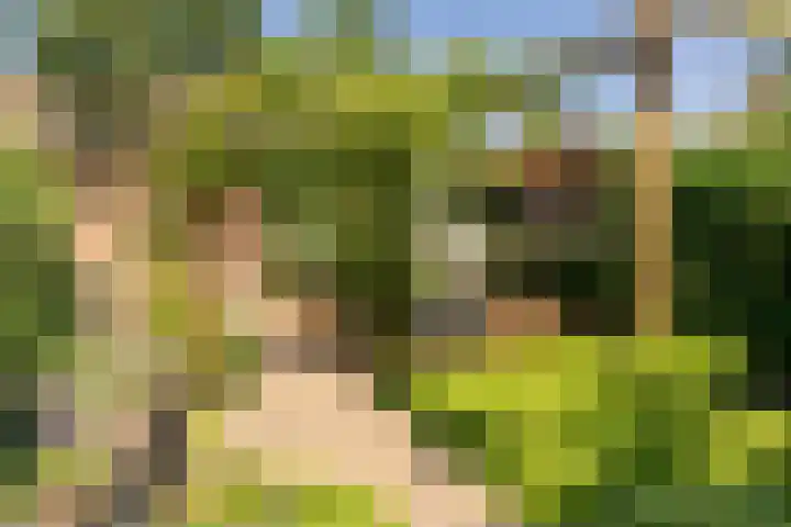 Hoogmeer 2603 Wijchen thumbnail 24