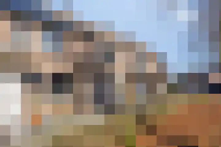 Hoogmeer 2603 Wijchen thumbnail 26
