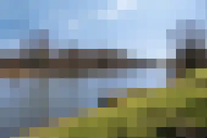 Hoogmeer 2603 Wijchen thumbnail 29