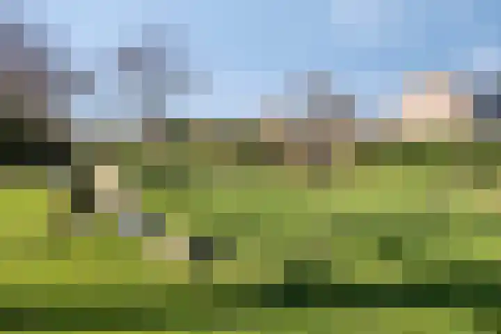 Hoogmeer 2603 Wijchen thumbnail 30