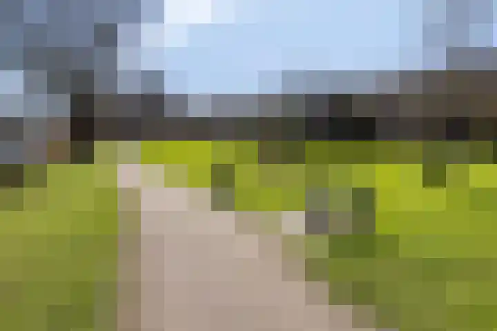 Hoogmeer 2603 Wijchen thumbnail 31