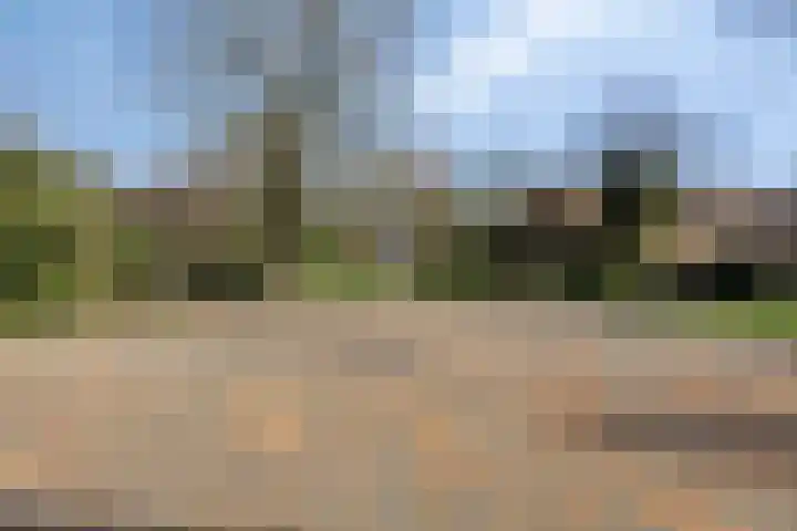Hoogmeer 2603 Wijchen thumbnail 32