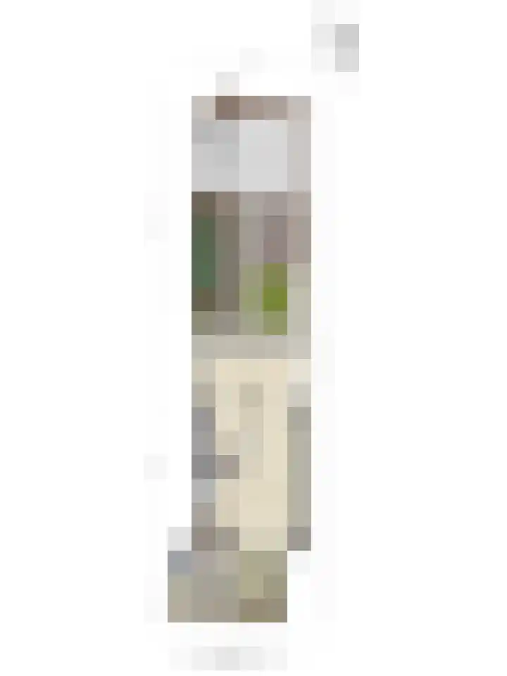 Hoogmeer 2603 Wijchen thumbnail 33