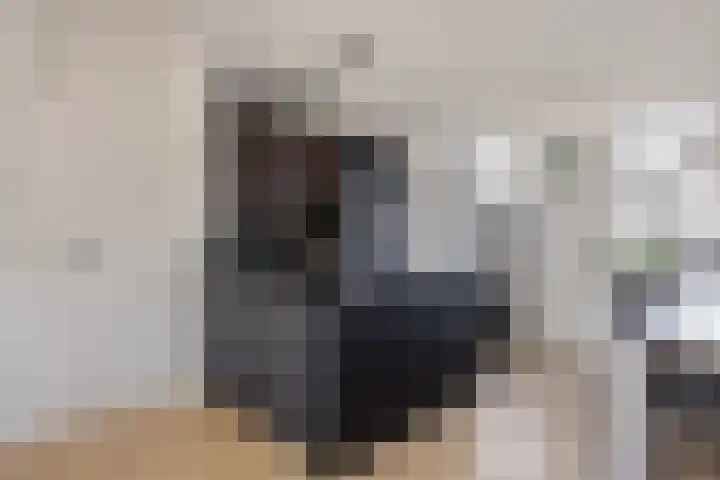 Hoogmeer 2603 Wijchen thumbnail 5