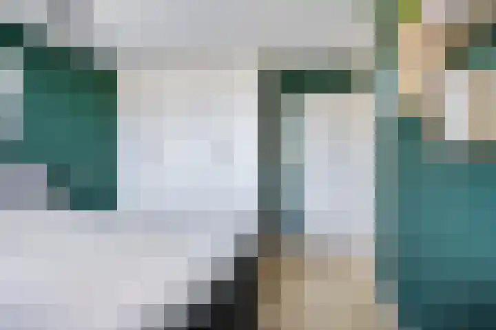 Hoogmeer 2603 Wijchen thumbnail 9
