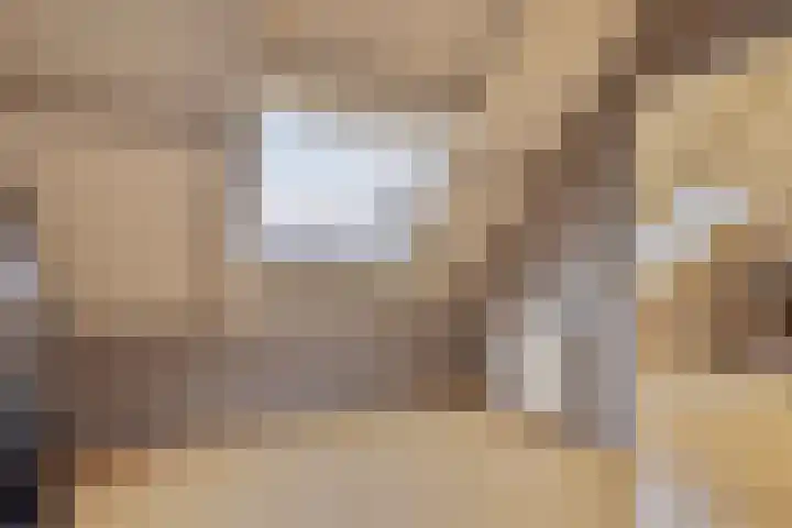 Hoogmenneke 1 Venhorst thumbnail 21