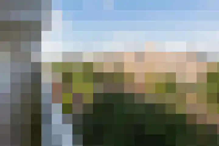 Hoogoord 108 Amsterdam thumbnail 25