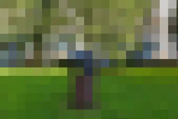 Hoogoord 108 Amsterdam thumbnail 29