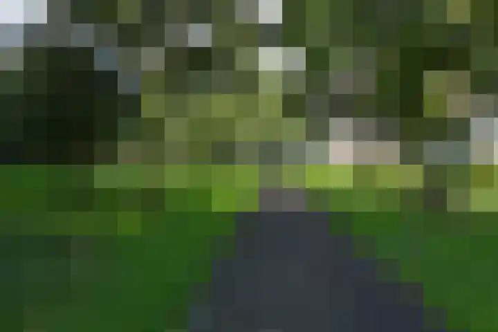 Hoogoord 108 Amsterdam thumbnail 30