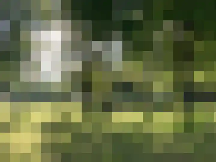 Hoogoord 108 Amsterdam thumbnail 31