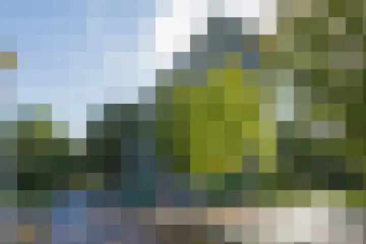 Hoogoord 108 Amsterdam thumbnail 4