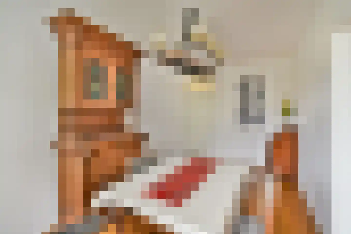 Hoogoord 15 Amsterdam thumbnail 11