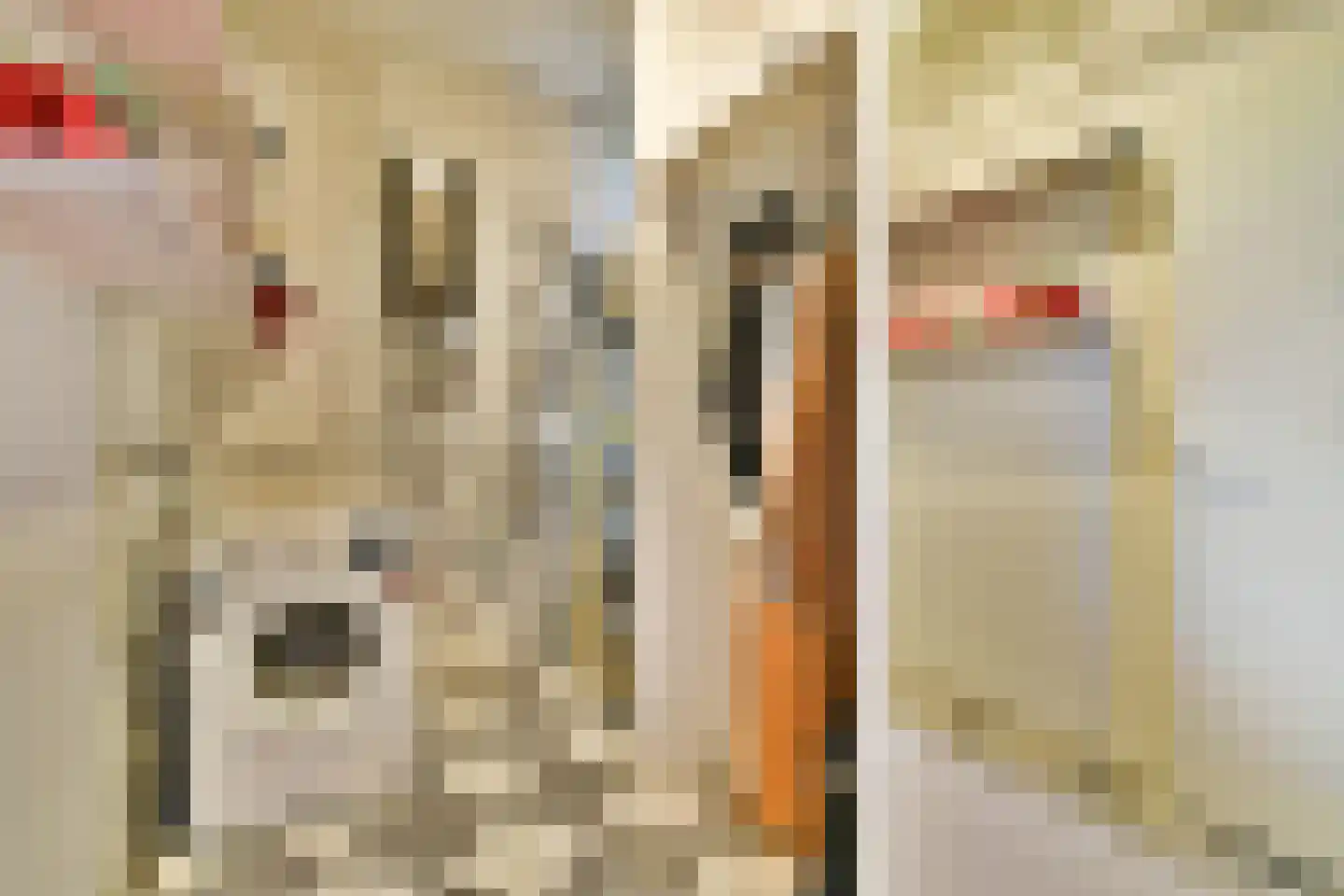 Hoogoord 15 Amsterdam thumbnail 19