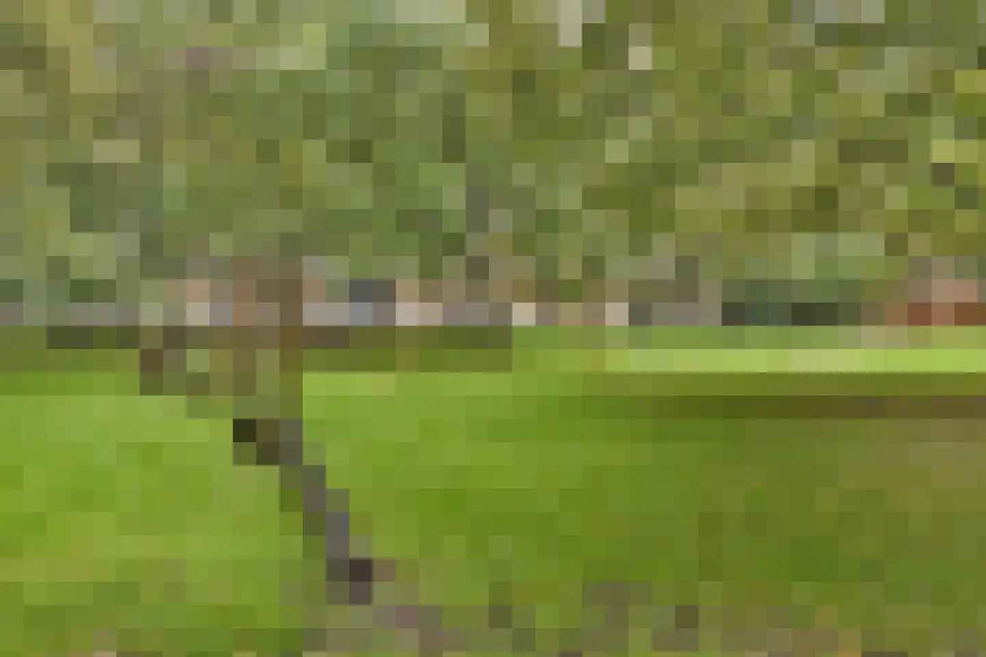 Hoogoord 15 Amsterdam thumbnail 23