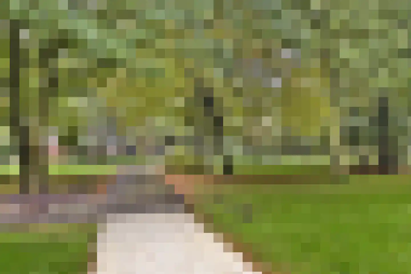 Hoogoord 15 Amsterdam thumbnail 24