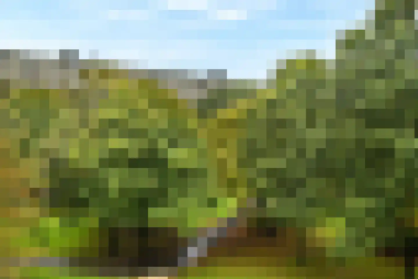 Hoogoord 15 Amsterdam thumbnail 8