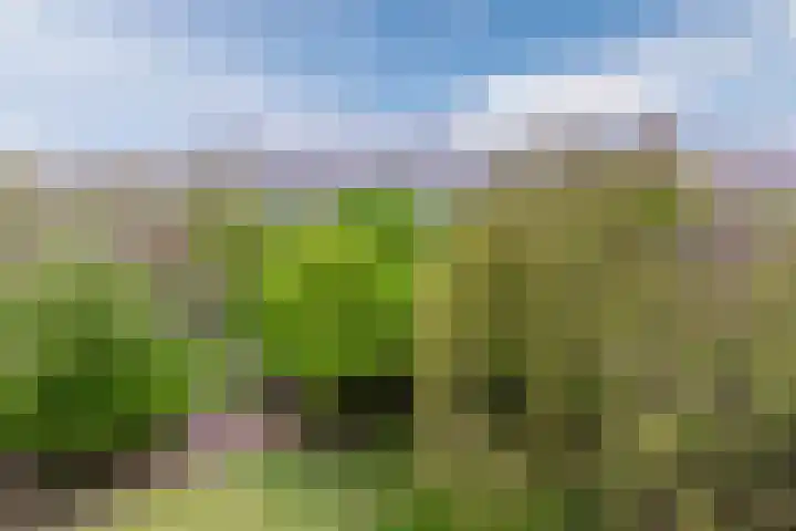 Hoogoord 33 Amsterdam thumbnail 11