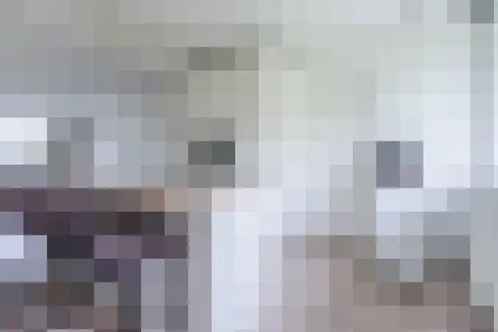 Hoogoord 33 Amsterdam thumbnail 14