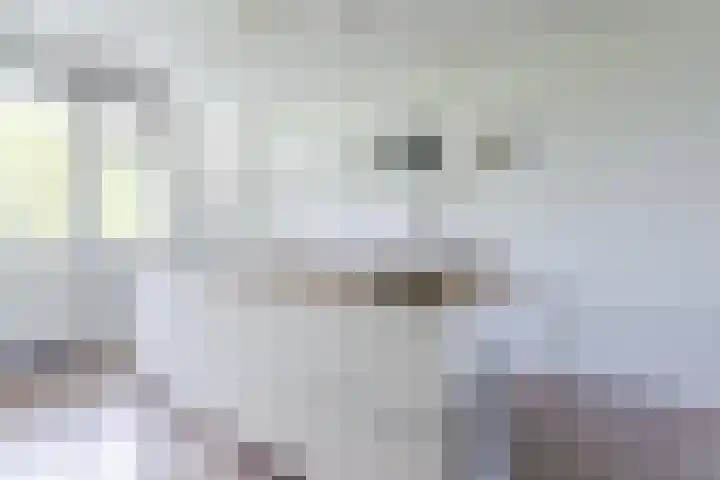Hoogoord 33 Amsterdam thumbnail 15