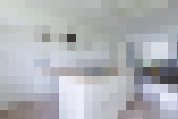Hoogoord 33 Amsterdam thumbnail 17
