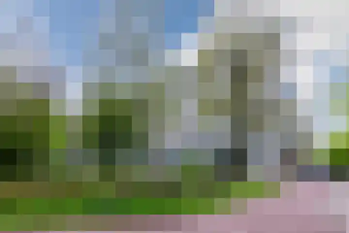 Hoogoord 33 Amsterdam thumbnail 23