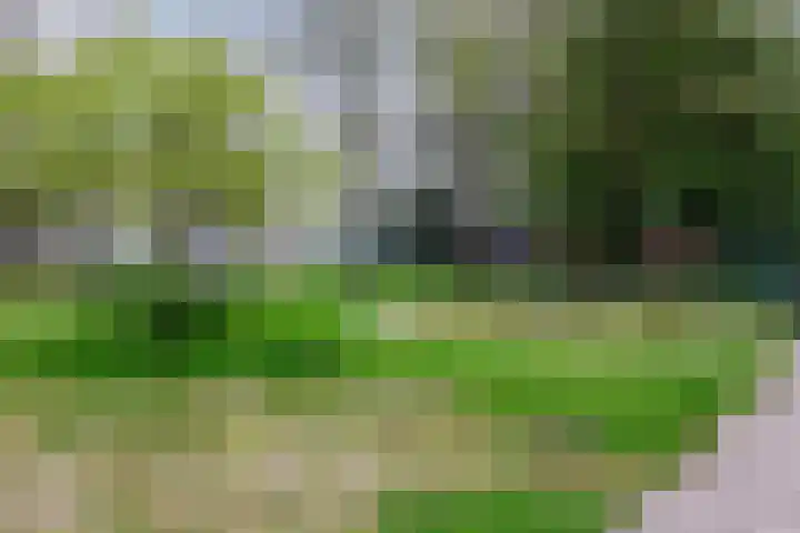 Hoogoord 33 Amsterdam thumbnail 24