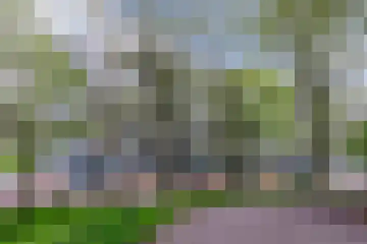 Hoogoord 33 Amsterdam thumbnail 5