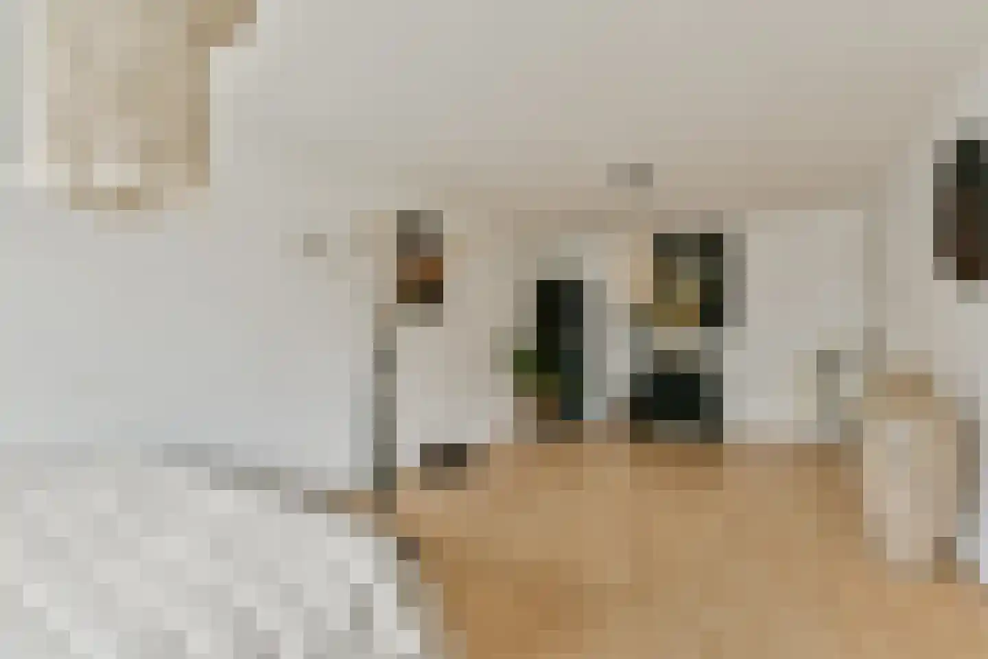 Hoogoord 50 A Amsterdam thumbnail 24