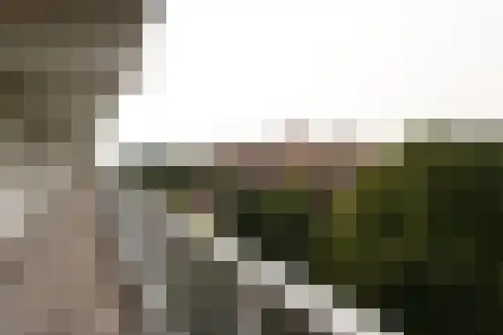 Hoogoord 81 Amsterdam thumbnail 15