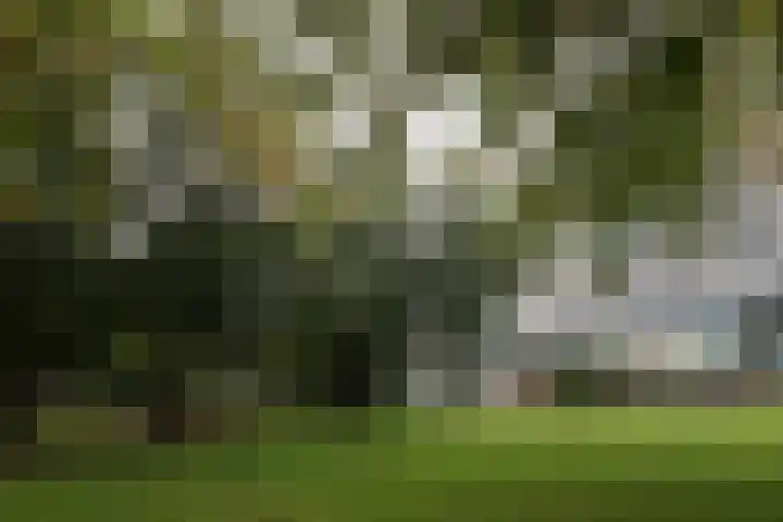 Hoogoord 81 Amsterdam thumbnail 19