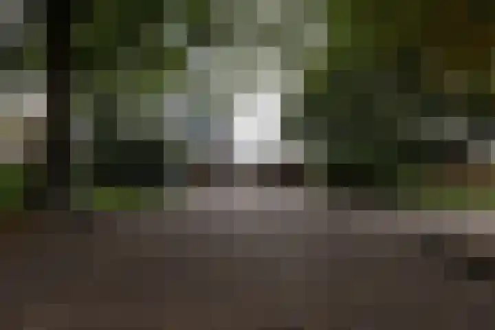 Hoogoord 81 Amsterdam thumbnail 23