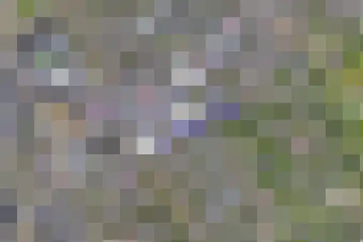 Hoogoord 81 Amsterdam thumbnail 24