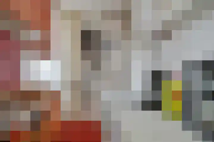 Hoogoord 9 Amsterdam thumbnail 12