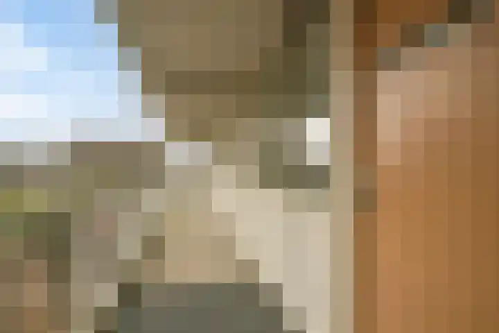 Hoogoord 9 Amsterdam thumbnail 25