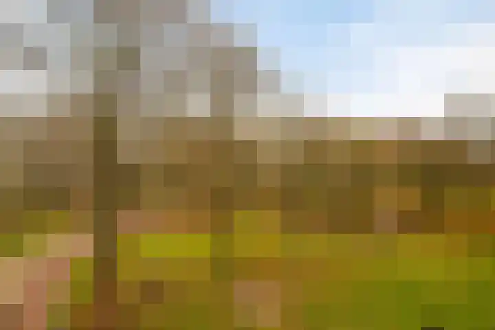 Hoogoord 9 Amsterdam thumbnail 34