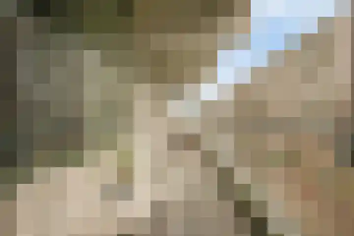 Hoogoord 9 Amsterdam thumbnail 4