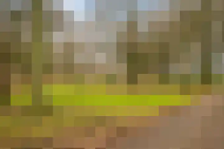 Hoogoord 9 Amsterdam thumbnail 5