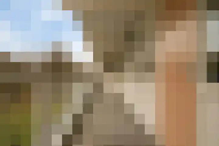 Hoogoord 9 Amsterdam thumbnail 6