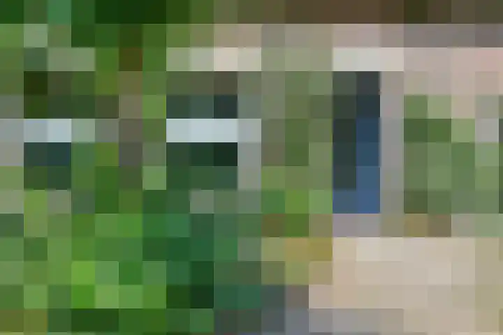 Hoogoordstraat 9 Macharen thumbnail 16