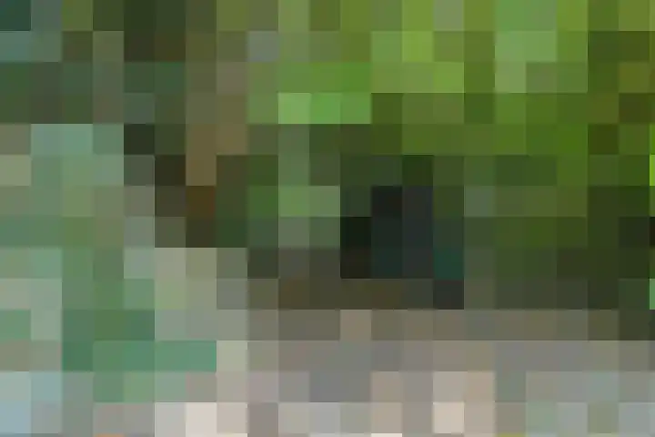 Hoogoordstraat 9 Macharen thumbnail 29