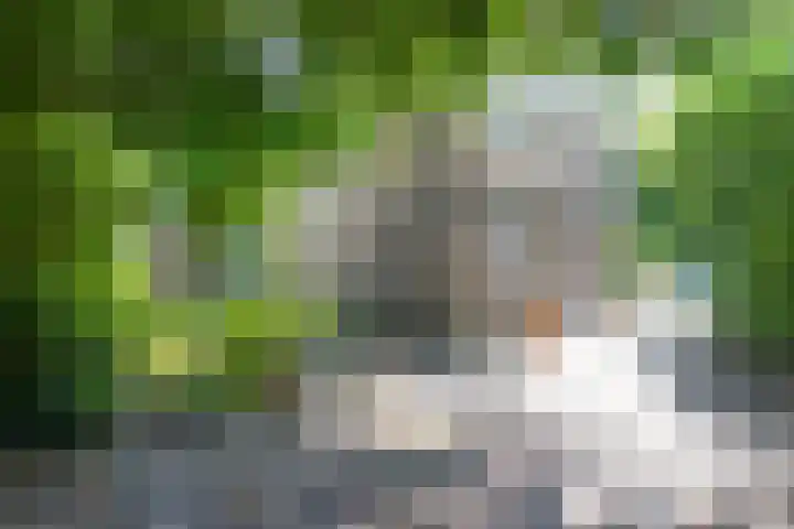 Hoogoordstraat 9 Macharen thumbnail 30