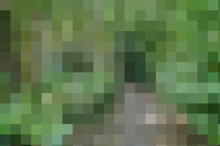 Hoogoordstraat 9 Macharen thumbnail 31