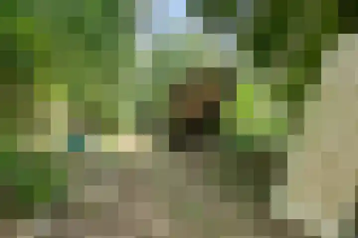 Hoogoordstraat 9 Macharen thumbnail 32