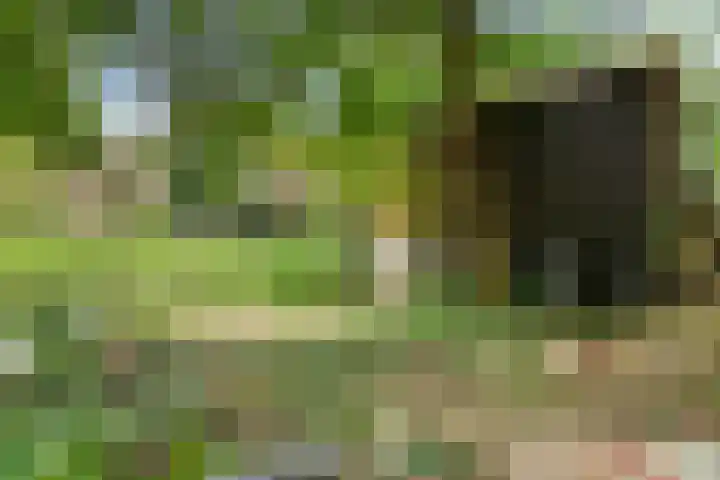 Hoogoordstraat 9 Macharen thumbnail 33