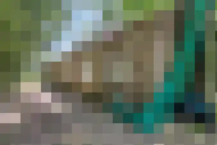 Hoogoordstraat 9 Macharen thumbnail 34