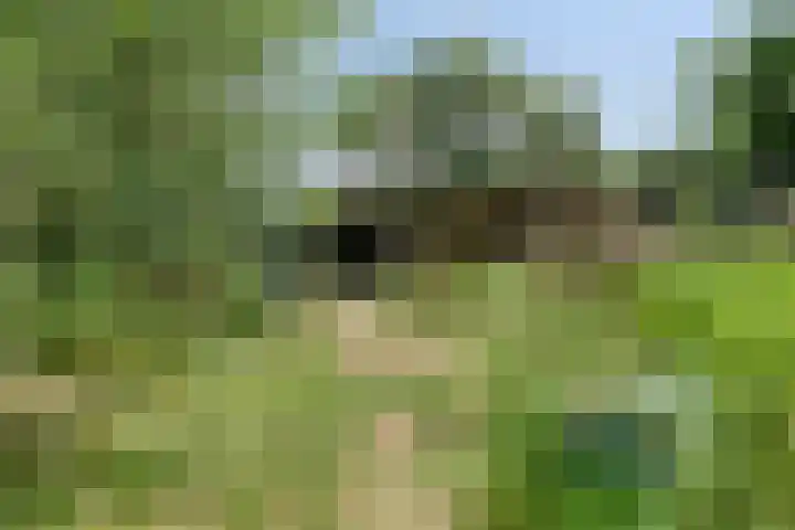 Hoogoordstraat 9 Macharen thumbnail 35