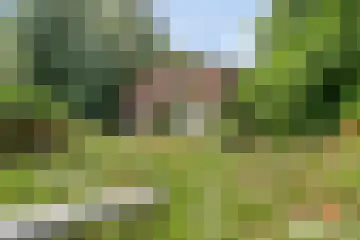 Hoogoordstraat 9 Macharen thumbnail 37