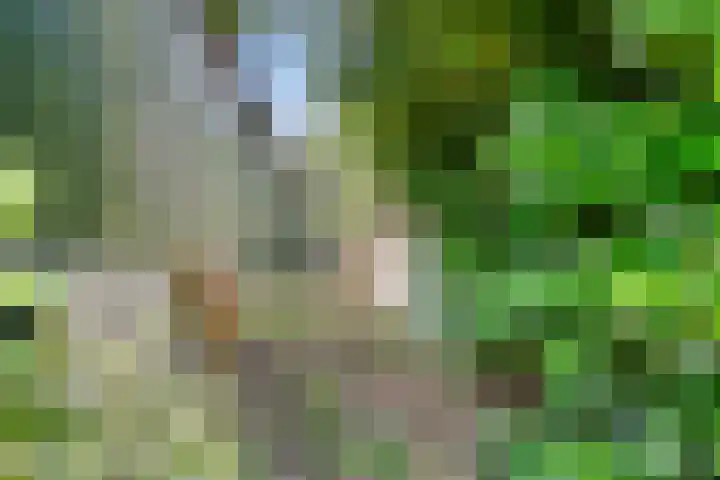 Hoogoordstraat 9 Macharen thumbnail 38